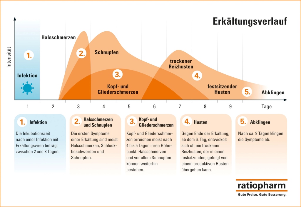Erkältungsverlauf (Bildquelle: shutterstock_274816253 )