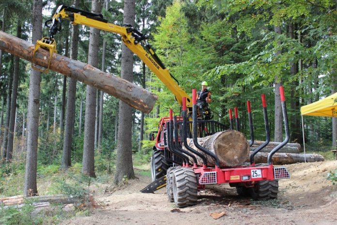 Der Holzmarkt steht aufgrund des prognostizierten Klimawandels vor großen Herausforderungen (Bildquelle: LK OÖ) Der Holzmarkt steht aufgrund des prognostizierten Klimawandels vor großen Herausforderungen (Bildquelle: LK OÖ)