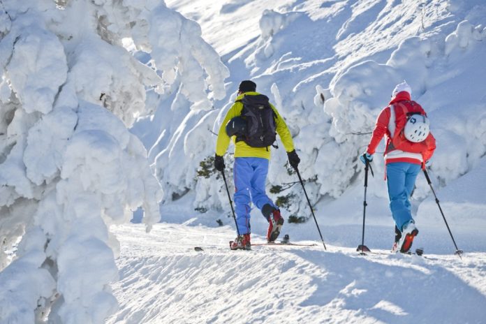 Für Tourengeher gibt es auf der Gemeindealpe Mitterbach zwei ausgeschilderte Aufstiegsrouten. (Bildquelle: NÖVOG / Leiminger) Für Tourengeher gibt es auf der Gemeindealpe Mitterbach zwei ausgeschilderte Aufstiegsrouten. (Bildquelle: NÖVOG / Leiminger)