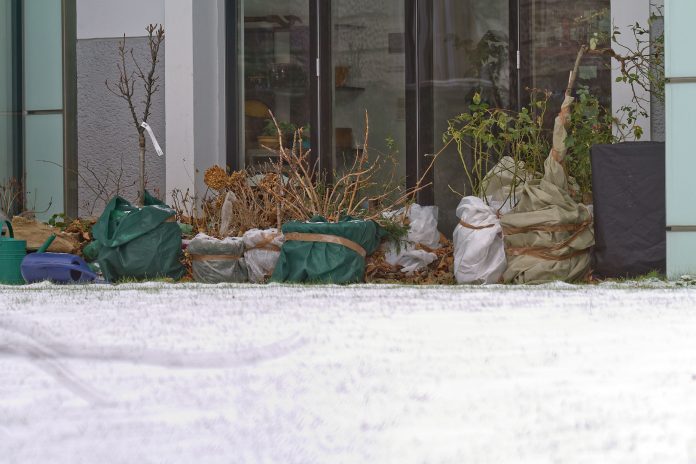 Am besten werden mehrere Pflanzen in Gruppen eng beisammen nahe der Hauswand, an einer vor Wind, Witterung und starker Sonneneinstrahlung geschützten Stelle, zusammengestellt (Bildquelle: Natur im Garten“ / Brocks) Am besten werden mehrere Pflanzen in Gruppen eng beisammen nahe der Hauswand, an einer vor Wind, Witterung und starker Sonneneinstrahlung geschützten Stelle, zusammengestellt (Bildquelle: Natur im Garten“ / Brocks)