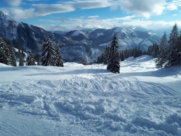 Die Ausübung von Wintersport im Wald erfordert besondere Rücksichtnahme durch Sportbegeisterte (Bildquelle: Almgemeinschaft Gamering) Die Ausübung von Wintersport im Wald erfordert besondere Rücksichtnahme durch Sportbegeisterte (Bildquelle: Almgemeinschaft Gamering)