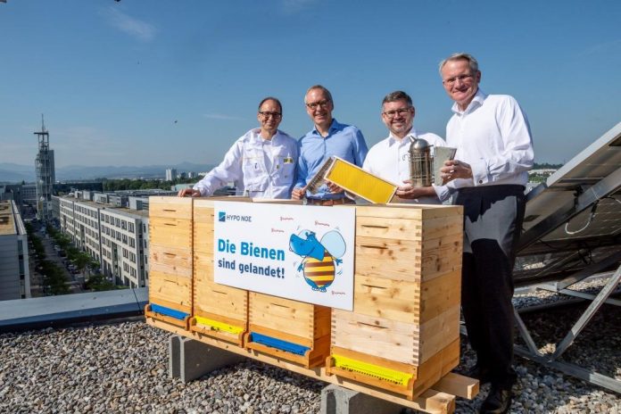 (v.l.n.r.): Imker Georg Fink, Vorstand Wolfgang Viehauser, Landesrat Ludwig Schleritzko und Vorstand Udo Birkner (Bildquelle: HYPO NOE / Herbst) 150.000 Honigbienen am Dach der Hypo-Zentrale