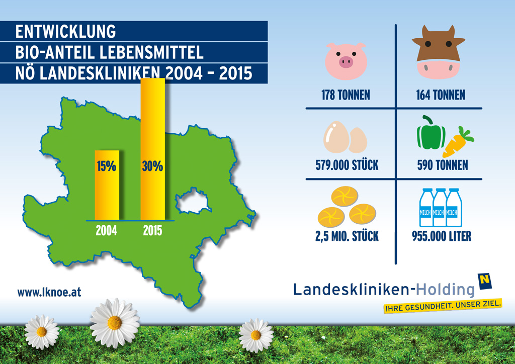 <small> (Grafik: NÖ Landeskliniken-Holding)</small>