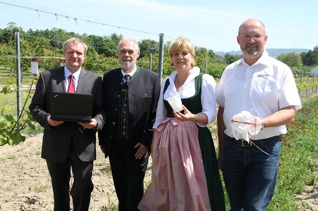 (v.l.n.r.): Dipl.-Ing. Bernhard Nindl, Dipl.-Ing. Christian Trubacek, Landesrätin Mag. Barbara Schwarz und Ing. Erhard Kührer (Leiter des Rebschutzdienstes) (Bildquelle: Jürgen Mück)