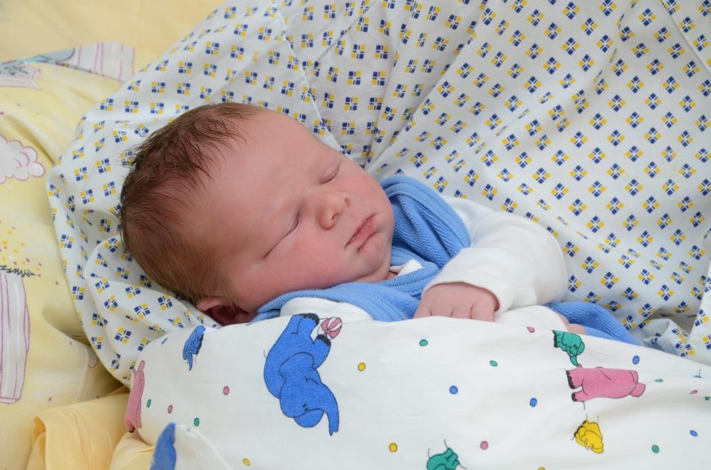 1000. Baby 2016 im Universitätsklinikum Tulln am 9.12.2016 (Bildquelle: Oskar Wiedermann)