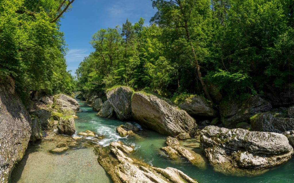 Die Erlaufschlucht gilt als Naturdenkmal und ist Teil des Europaschutzgebiets „Niederösterreichische Alpenvorlandflüsse“ (Bildquelle: Fabian Istel)