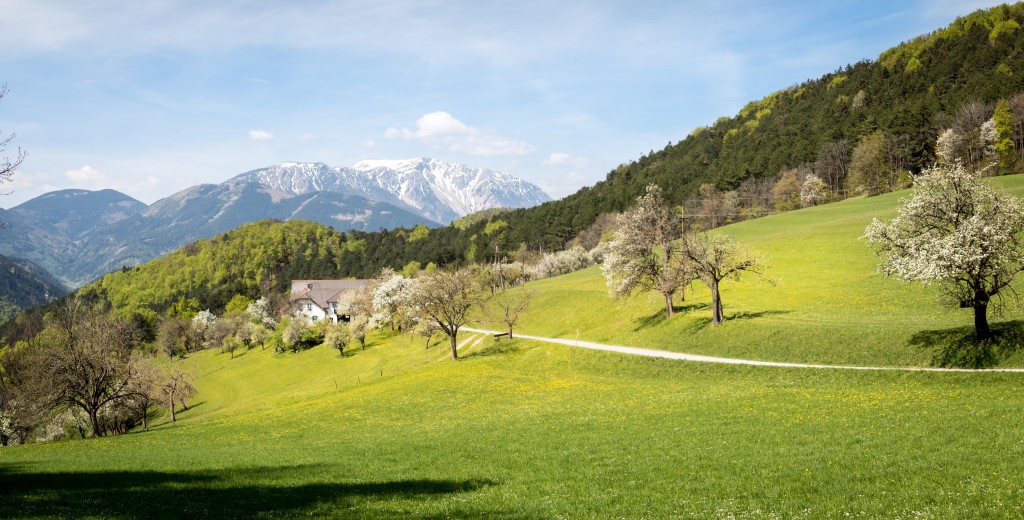 Wandern in den Wiener Alpen - mit dem Schneeberg immer im Blick. Besten Service für Wanderer bieten die zertifizierten Wanderhotels im Wanderdorf Puchberg am Schneeberg. (Bildquelle: Wiener Alpen / Franz Zwickl)