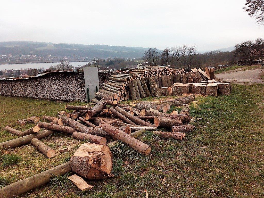 Für Österreich hat die Holzindustrie eine große ökonomische Bedeutung. (Bildquelle: Reinhard Resch)