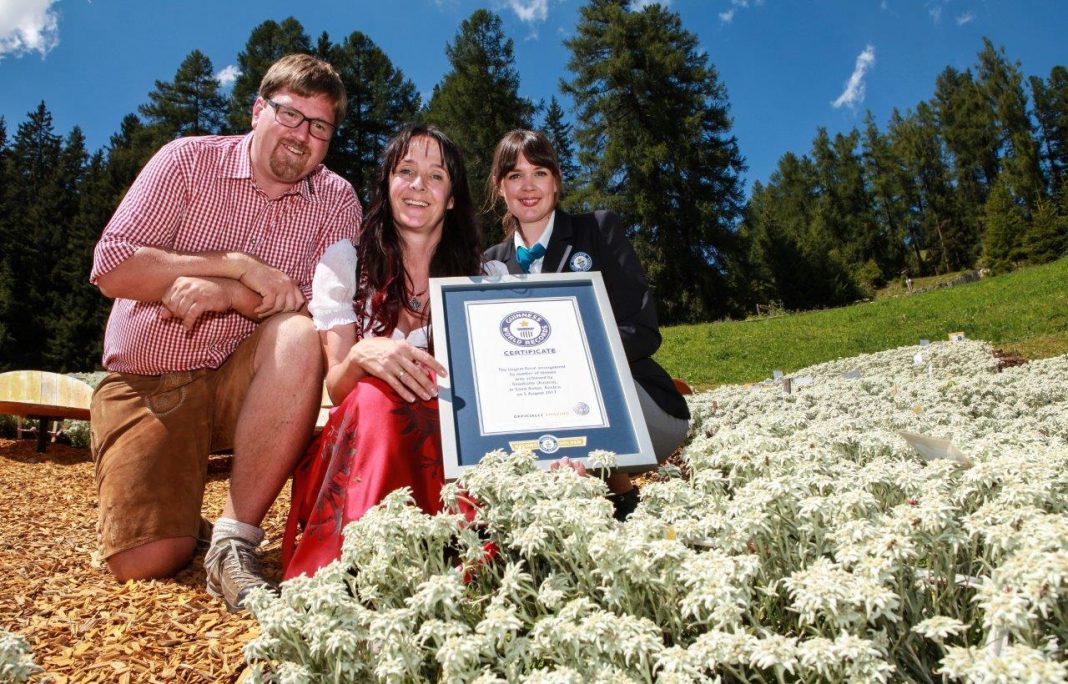 Die Rekordhalter Tanja und Markus Senn erhielten von Guinness World Records ™ Jurorin Lena Kuhlmann (rechts) die offizielle Auszeichnung. (Bildquelle: Sennhütte/Polak Mediaservice)