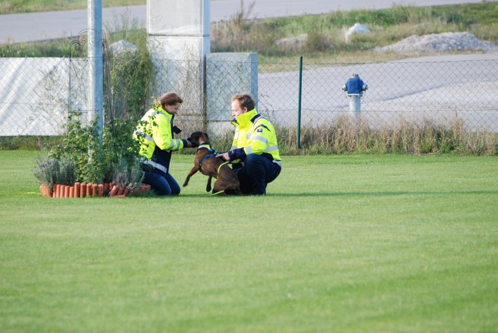 Zu jeder Tages-, Nacht- und Jahreszeit sind die ehrenamtlichen Mitglieder mit ihren Hunden bereit, sich sofort auf den Weg zum Einsatzort zu begeben. (Bildquelle: Rettungshunde NÖ)