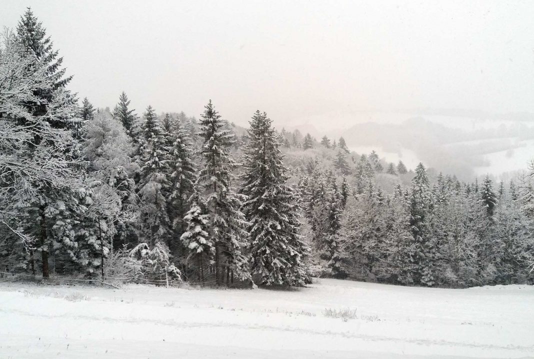 Neuschnee in allen Teilen Niederösterreichs erwartet (Bildquelle: Michaela Resch)