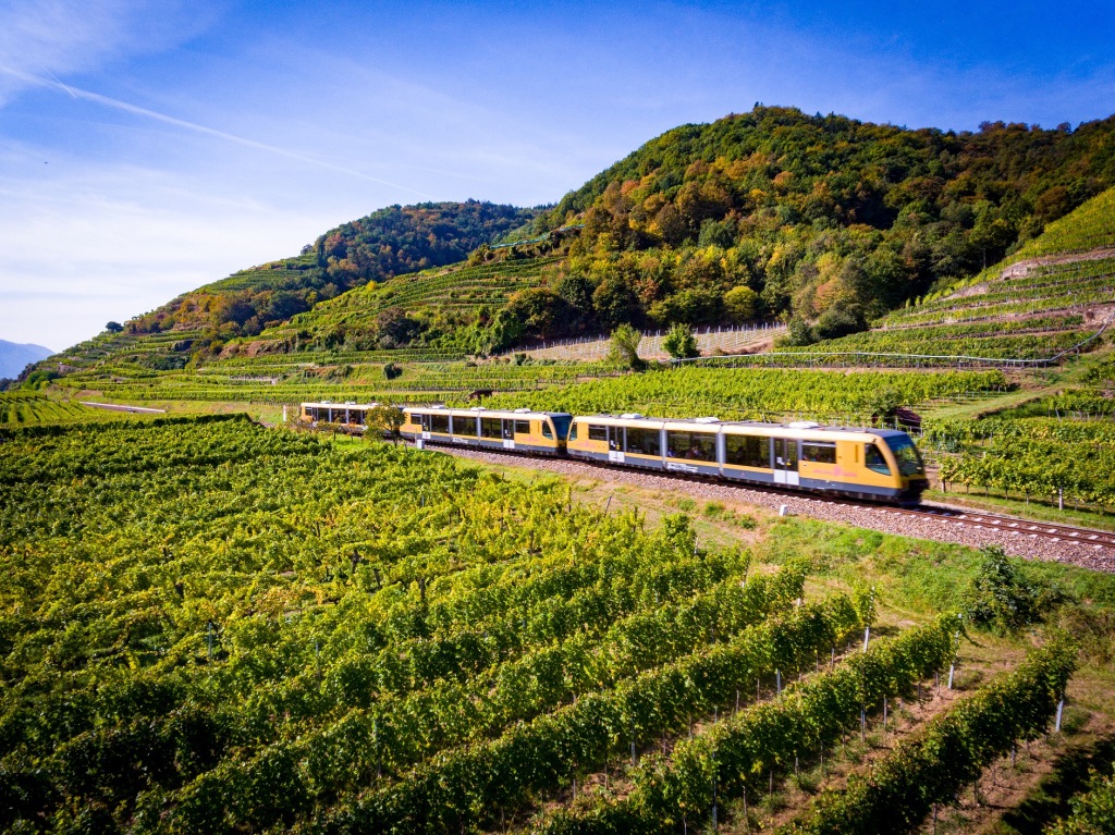 Mit der Wachaubahn können die Fahrgäste bis 28. Oktober die Wachau erkunden (Bildquelle: NÖVOG / Kerschbaummayr)