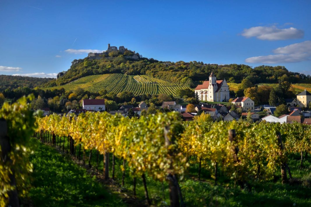 Beim 23. Weinherbst Niederösterreich von August bis November 2018 laden in Österreichs größtem Weinland über 100 Gemeinden zu genussreichen Festen (Bildquelle: Niederösterreich-Werbung / Robert Herbst)