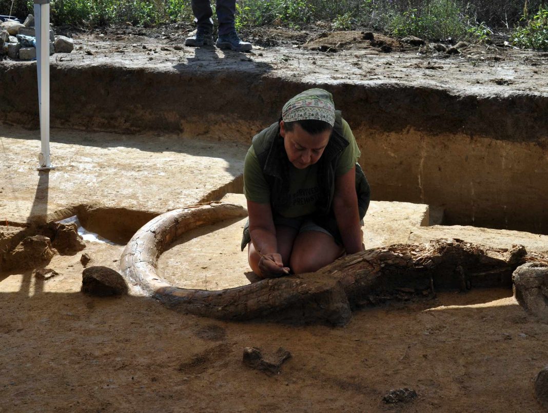 Archäologische Grabungen A 5 – mit „Kill Site“ altsteinzeitlicher Sensationsfund (Bildquelle: ASFINAG)