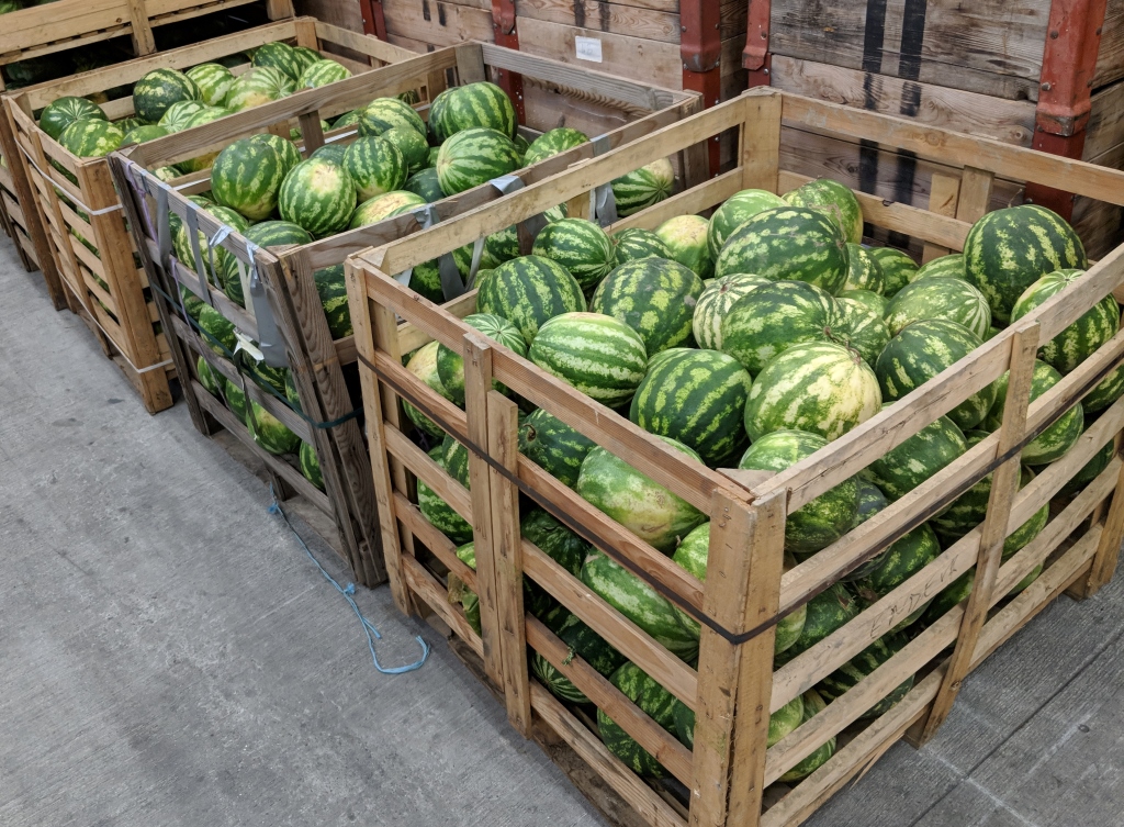 4 Tonnen Wassermelonen, nur ein Bruchteil von dem was dieses Jahr auf österreichischen Feldern liegen bleiben musste (Bildquelle: Unverschwendet)