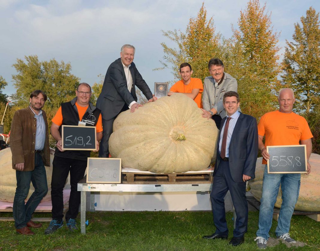 (v.ln.r.): Garten Tulln Geschäftsführer Franz Gruber, Hubert Klein, Landesrat Martin Eichtinger, Franz Mathias, Andreas Freistetter, Präsident der Landarbeiterkammer NÖ, Tullns Bürgermeister Peter Eisenschenk und Friedrich Melka (Bildquelle: Die Garten Tulln)