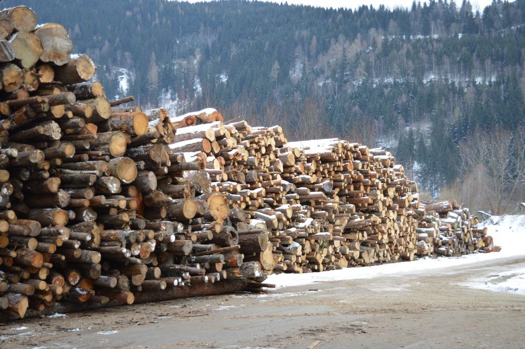 Holzkraftwerke stellen eine ideale Verwertung für Schadholz dar (Bildquelle: Biomasseverband OÖ)