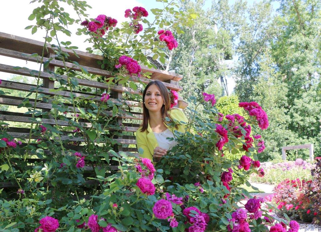 Auf der GARTEN TULLN blühen die Rosen