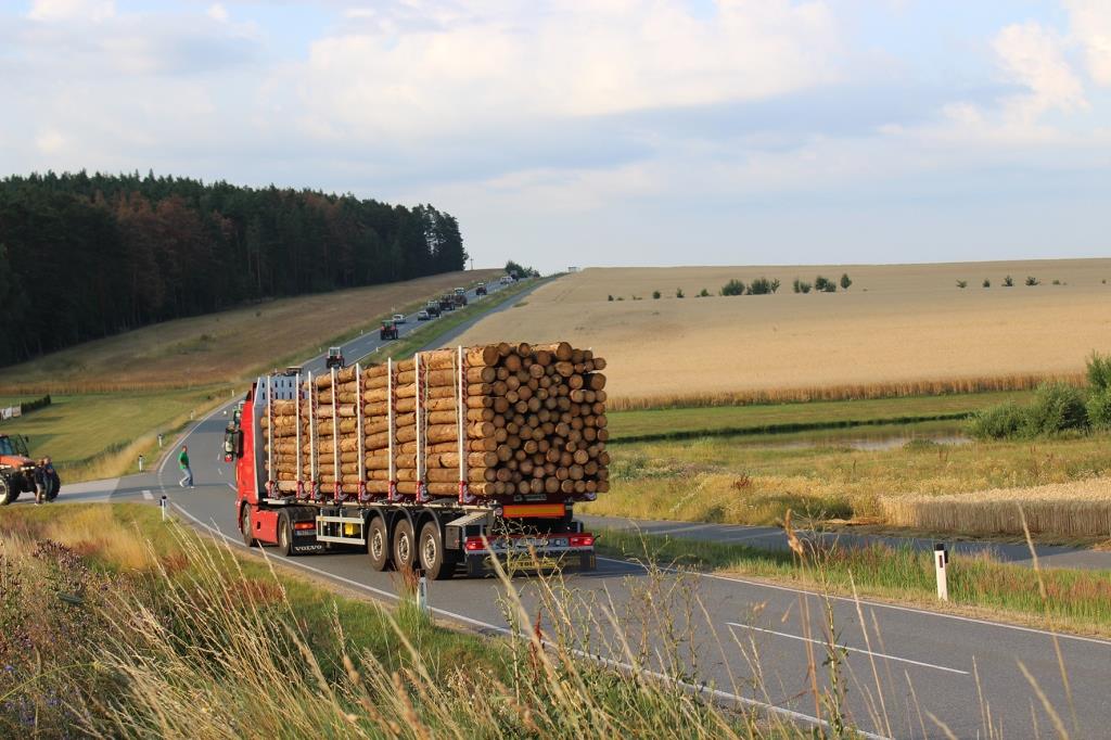 Holztransporte aus dem Ausland wurden bei der Kundgebung abgebremst.