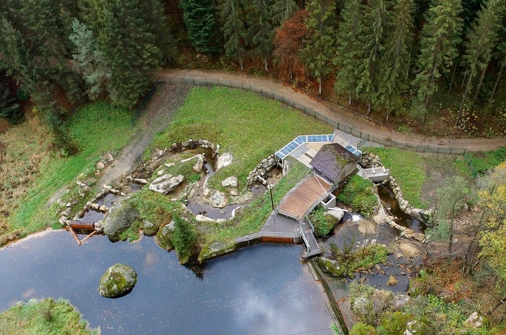 Lebensraum für Fische und Kleinstlebewesen