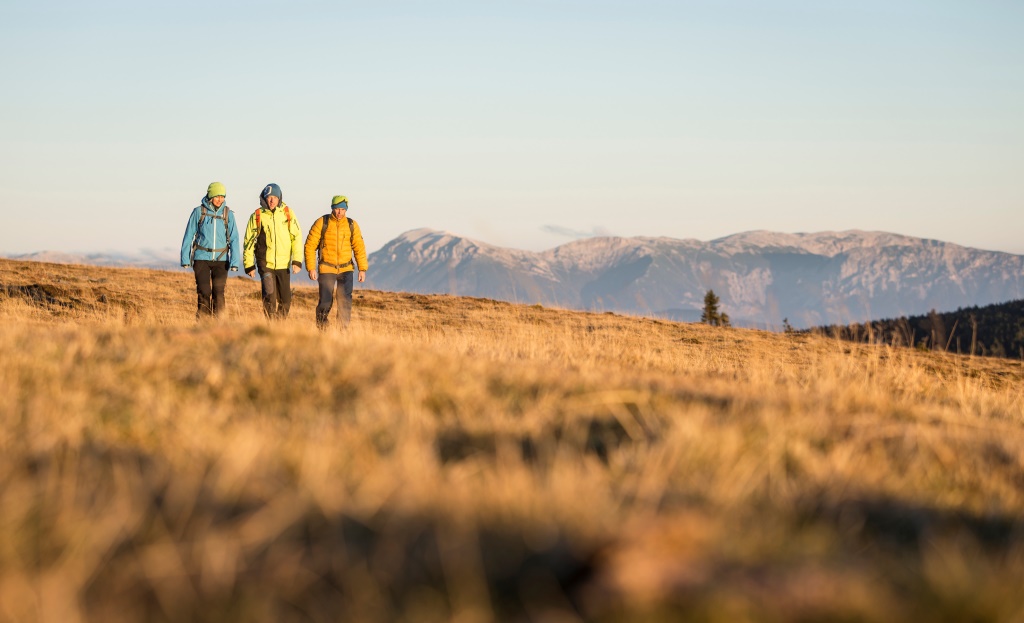 Wandern in den Wiener Alpen, Schneeberg