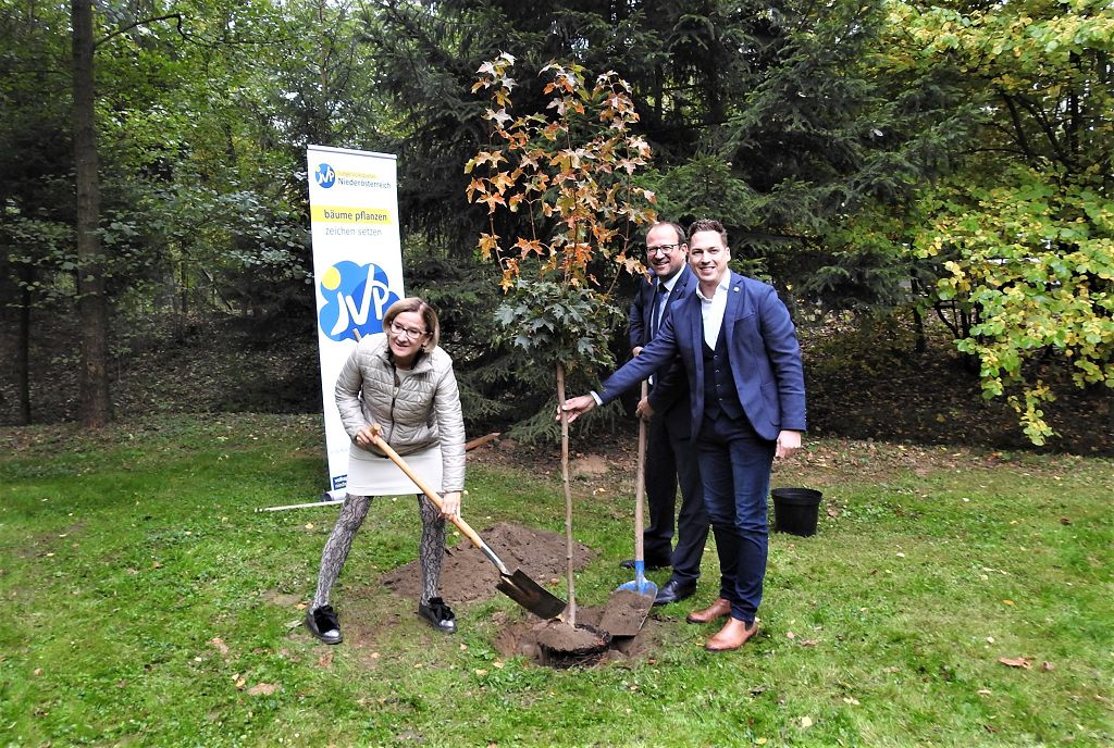 JVP startet Initiative „Bäume pflanzen, Zeichen setzen“