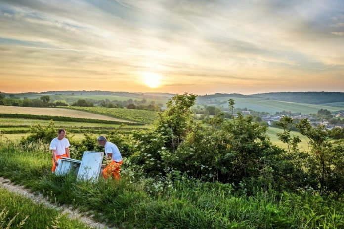 Klimaschonendes Handeln im Alltag ist durch kleine Veränderungen der Lebensgewohnheiten möglich und hat große Auswirkungen auf die Erde (Bildquelle: Wirtschaftskammer NÖ) Klimaschonendes Handeln im Alltag ist durch kleine Veränderungen der Lebensgewohnheiten möglich und hat große Auswirkungen auf die Erde