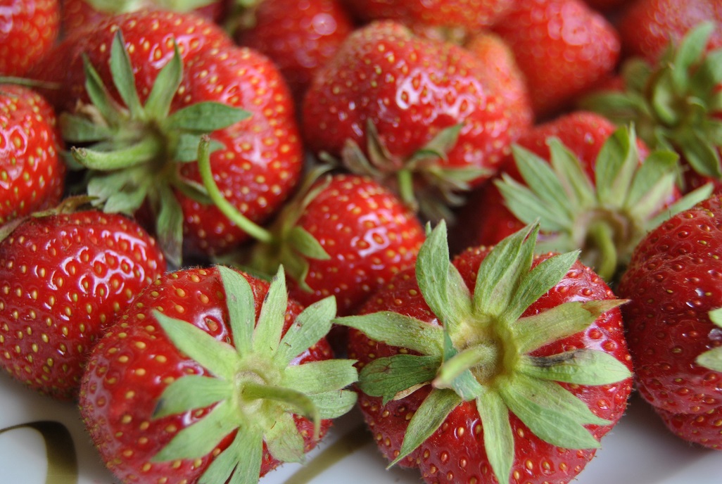 Wo gibt´s die besten Erdbeeren?