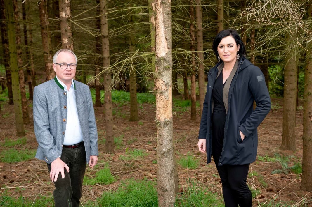 Waldfonds ist ein wichtiger Schritt zur Rettung heimischer Wälder