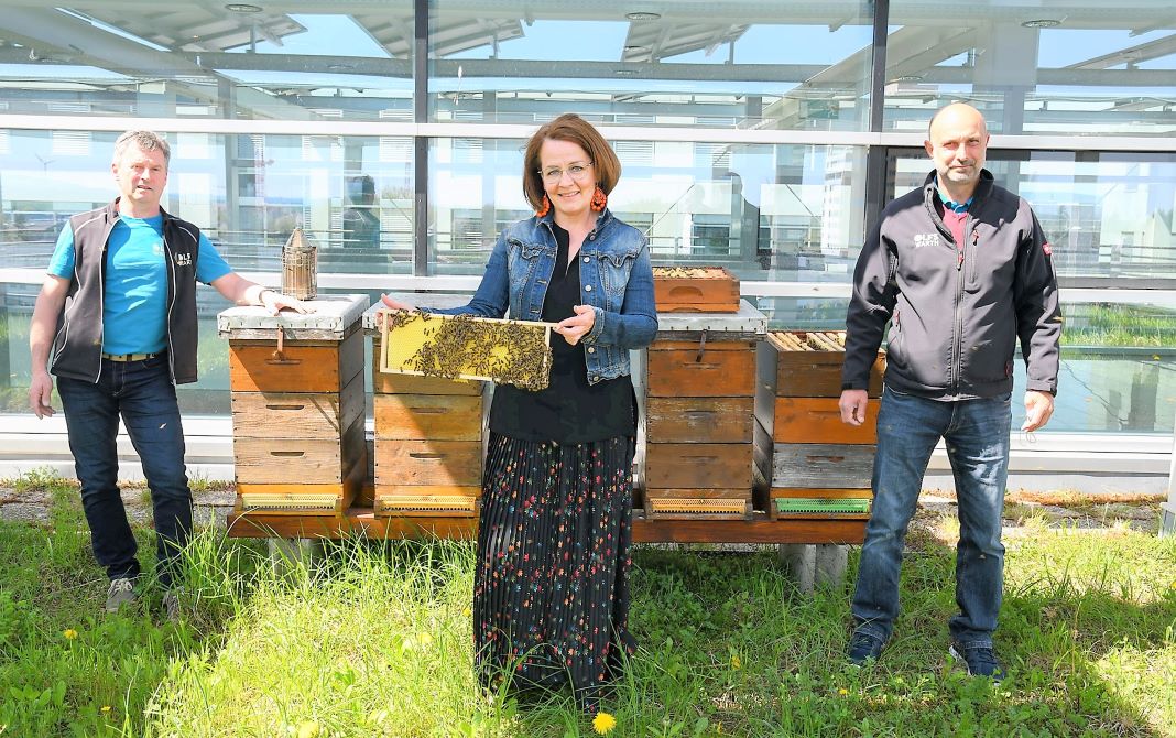 (v.l.n.r.): Imkermeister Alois Spanblöchl, Bildungs-Landesrätin Christiane Teschl-Hofmeister mit Bienenwabe und Imkermeister Wolfgang Oberrisser am Landhausdach (Bildquelle: Jürgen Mück)