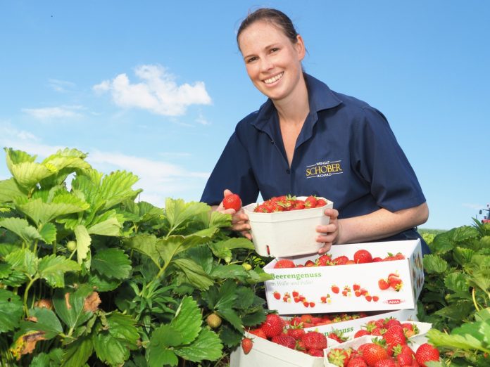 Carina Zörnpfenning ist von der Qualität der heimischen Erdbeeren überzeugt (Bildquelle: NÖ Bauernbund) Carina Zörnpfenning ist von der Qualität der heimischen Erdbeeren überzeugt