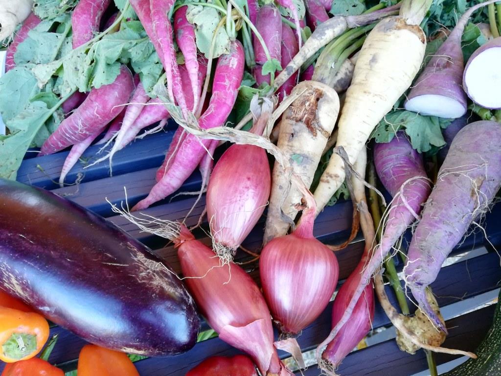 Gartentipp der Woche: Gemüse einlagern