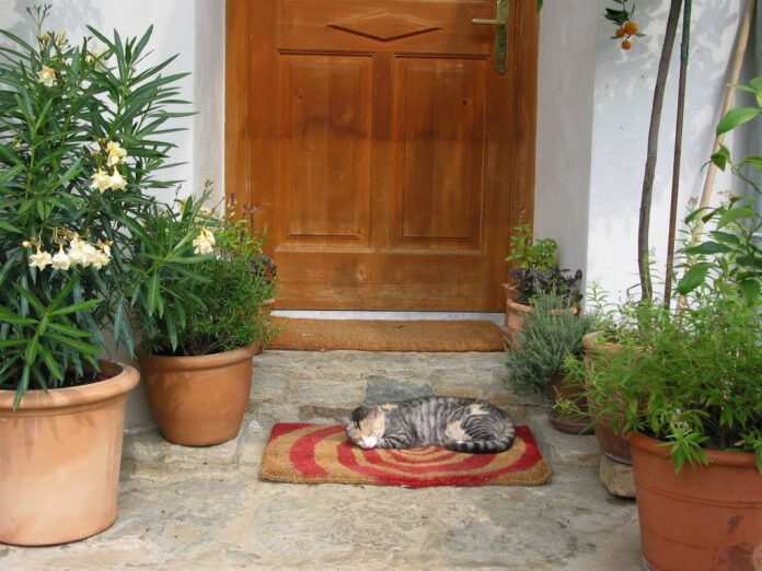 Gartentipp von Gartentipp von