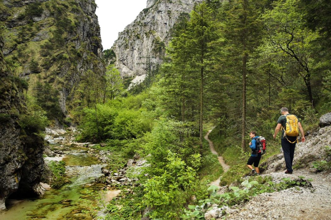 Der Naturpark Ötscher-Tormäuer ist eine beliebte Wanderregionen in Niederösterreich (Bildquelle: weinfranz.at)