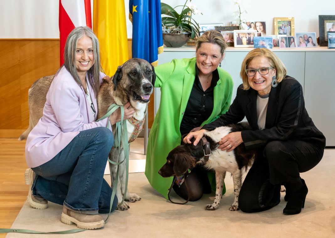 Mehr Geld für Tierheime und Tierschutzverband in Niederösterreich (v.l.n.r.): Präsidentin Andrea Specht, Landesrätin Susanne Rosenkranz und Landeshauptfrau Johanna Mikl-Leitner (Bildquelle: NLK/Burchhart)