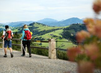 „Via Trinitatis“ – Neuer Pilger-Rundweg im Mostviertel Bis Ende Oktober 2024 soll ein Rundweg mit dem klingenden Namen Via Trinitatis aufbereitet werden (Bildquelle: Mostviertel Tourismus/weinfranz.at)