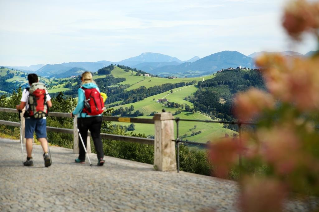 Bis Ende Oktober 2024 soll ein Rundweg mit dem klingenden Namen Via Trinitatis aufbereitet werden (Bildquelle: Mostviertel Tourismus/weinfranz.at)