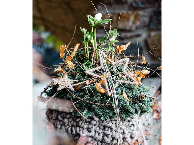 Niederösterreichs Floristinnen und Floristen schaffen vorweihnachtliche Wohlfühloasen