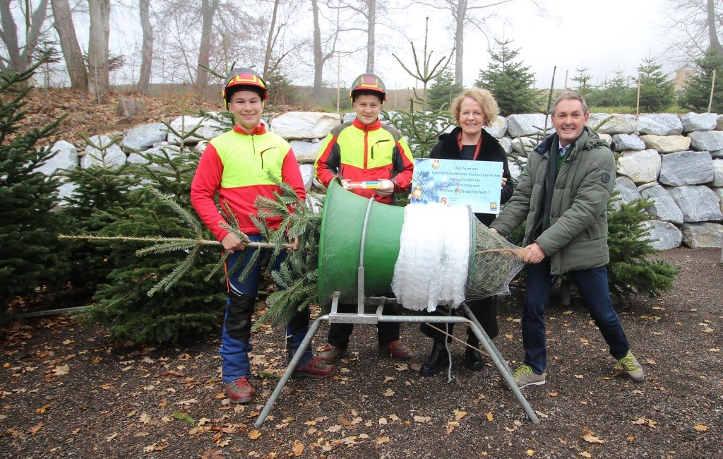 Fachschule-Pyhra-Traditioneller-Christbaumverkauf-startet