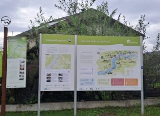 Wachau: Neue Infopoints sorgen für bessere Orientierung Neue Infopoints in der Wachau sorgen für bessere Orientierung: Das Leitsystem in Schönbühel Aggsbach (Foto: Michael Wagner)