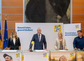 „Tut gut!“ stellt KI-gestützten Gesundheitsassistenten vor Projektleiterin „Gesundheitskompetenz“ Alexandra Benn-Ibler, Landesrat Anton Kasser, Gesundheitskompetenzexpertin Edith Flaschberger und k25 Werbeagentur -Geschäftsführer Wolfgang Hemmerich (v.l.n.r.): bei der Pressekonferenz