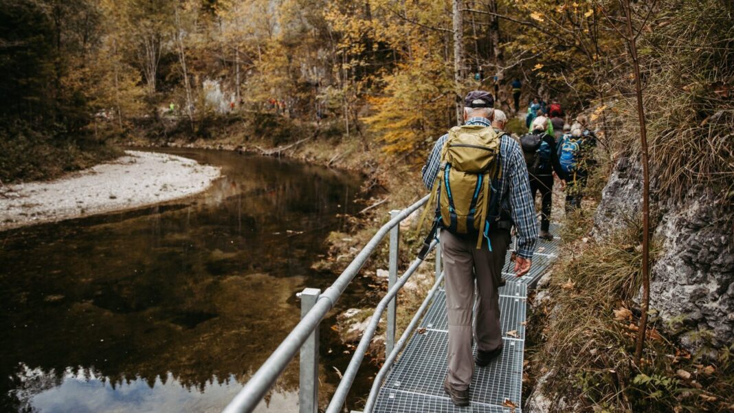 Die geführte Wanderung am Tag der Eröffnung lockte zahlreiche Besucher*innen an