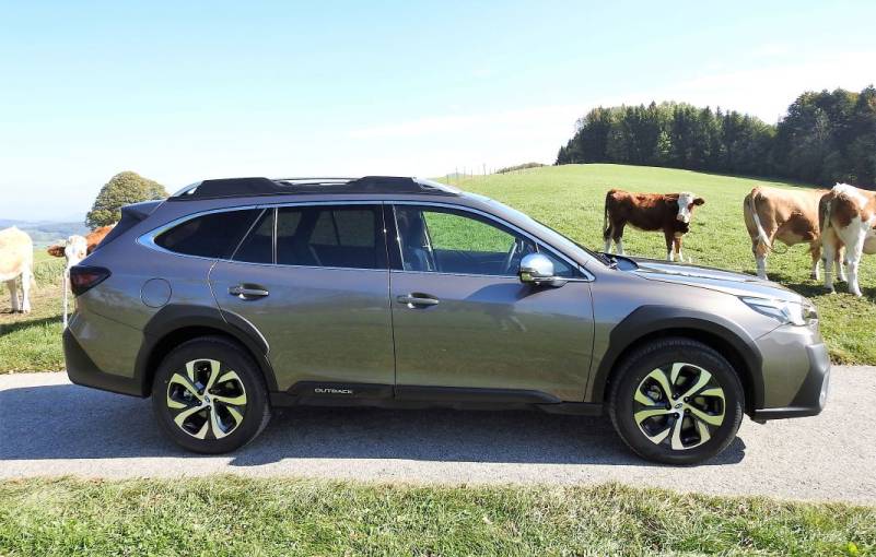 Der Subaru Outback 2,5i Premium in sechster Generation im Guten Tag Österreich Autotest (Bildquelle: Thomas Resch)